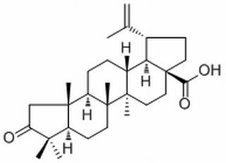 Norbetulonic Acid Bioruler