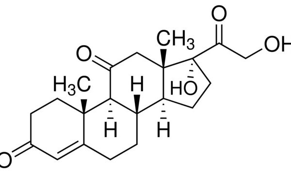 Cortisone