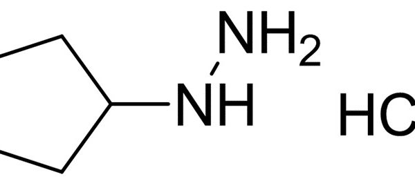 Cyclopentylhydrazine hydrochloride