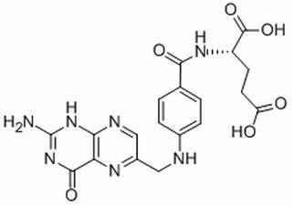 Folic Acid BioRuler