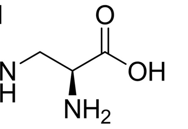 Guanidinopropionic Acid