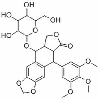 Podophyllotoxin 4 O Glucoside BioRuler