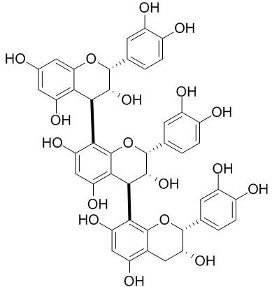 Procyanidin C1