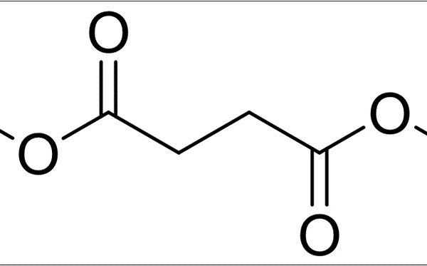 Succinic Acid di-n-Butyl Ester