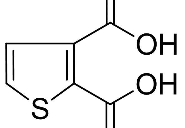 Thiophene-2,3-Dicarboxylic Acid