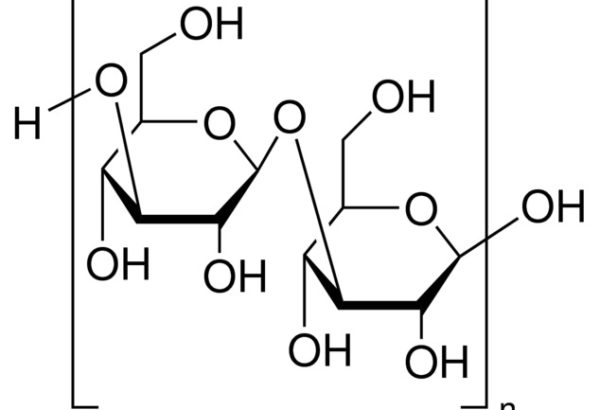 β-1,3-Glucan